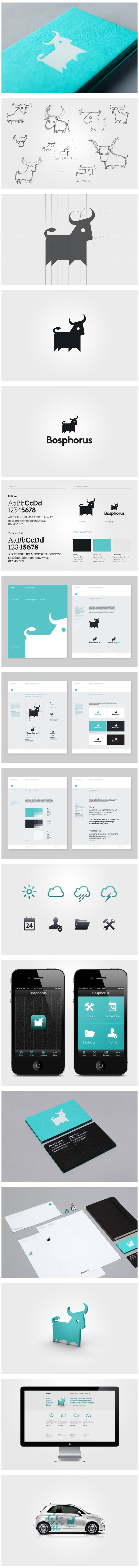 Brand identity