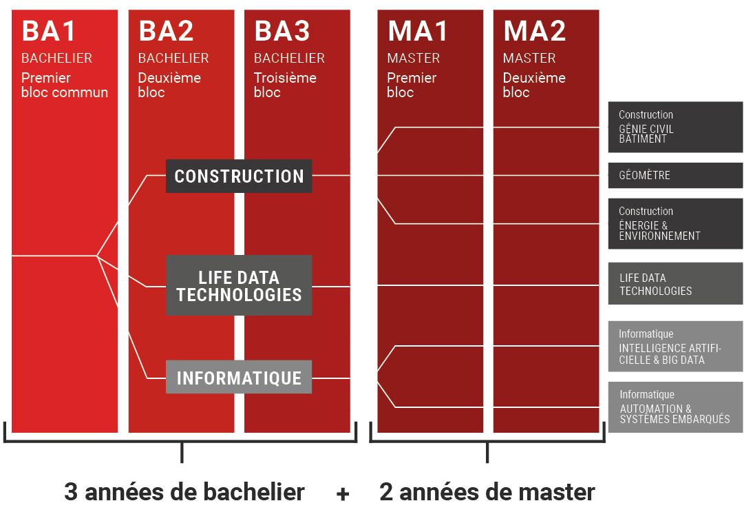 Parcours cursus ingénieur choix orientations et options